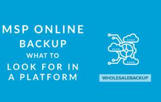 MSP Online Backup- What To Look For When Selecting a Platform