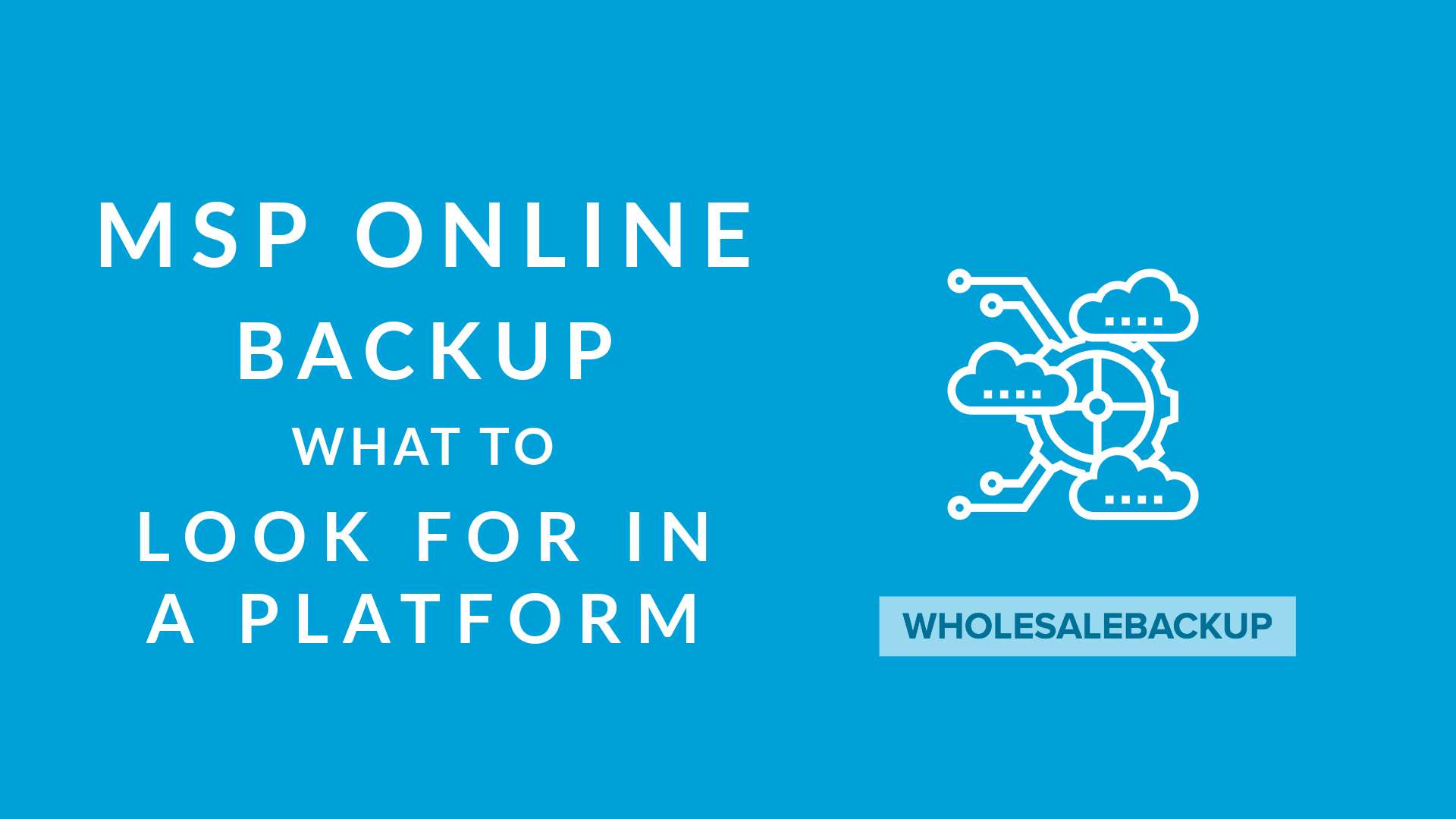 MSP Online Backup- What To Look For When Selecting a Platform