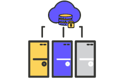 The software provides server backup for msp