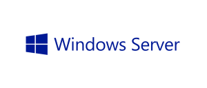 Microsoft Windows Server Storage Option
