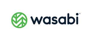 Wasabi Hot Cloud Storage Option