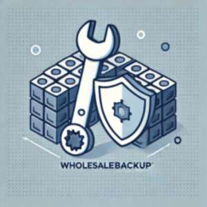 How-WholesaleBackup-Overcomes-These-Challenges
